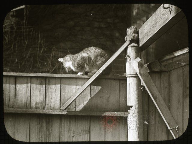 Photo circa 1905. (Via Brooklyn Visual Heritage)