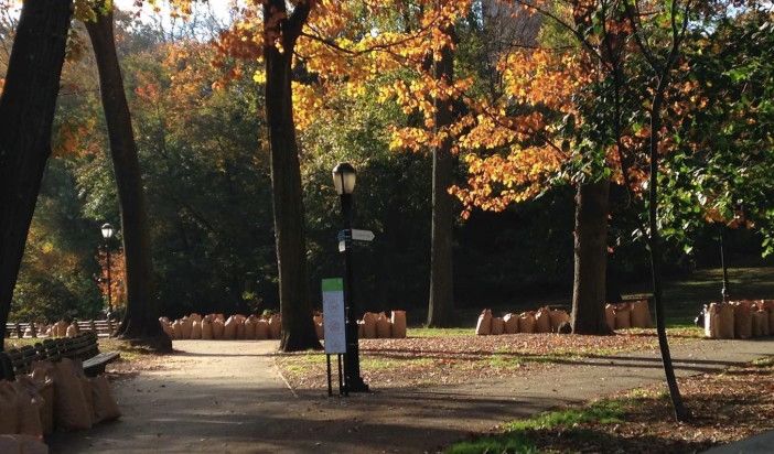 Landscaped Recycling In Prospect Park