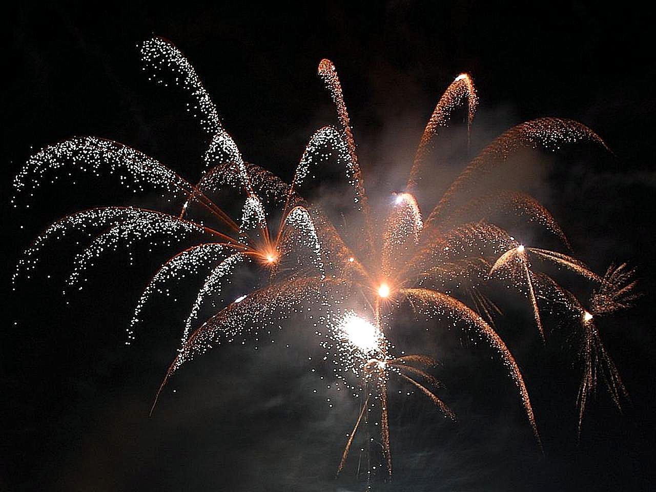 Ring In 2016 With Prospect Park’s Fireworks Extravaganza