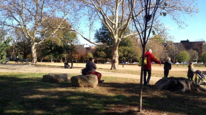 Photo via Fort Greene Park Conservancy.