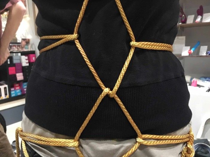 diamond/”tortoise shell” harness