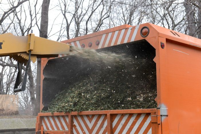 Photo by Daniel Avila/Fort Greene Park.