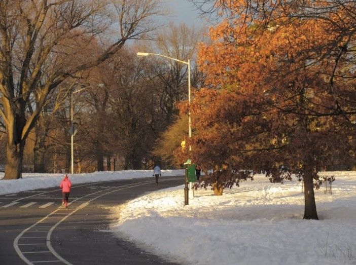 running in prospect park