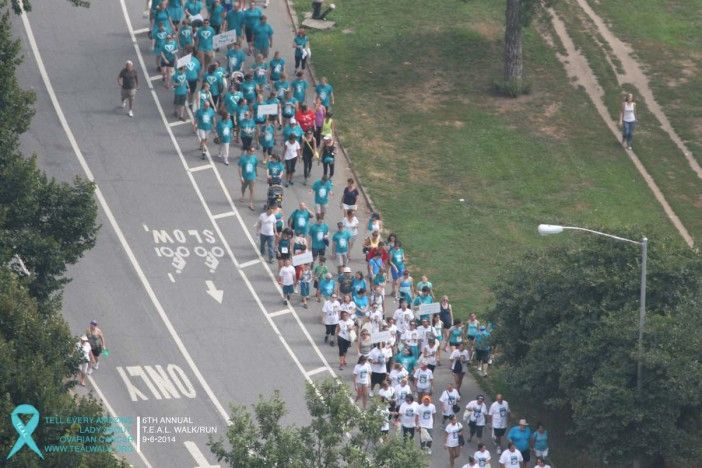 Teal Walk