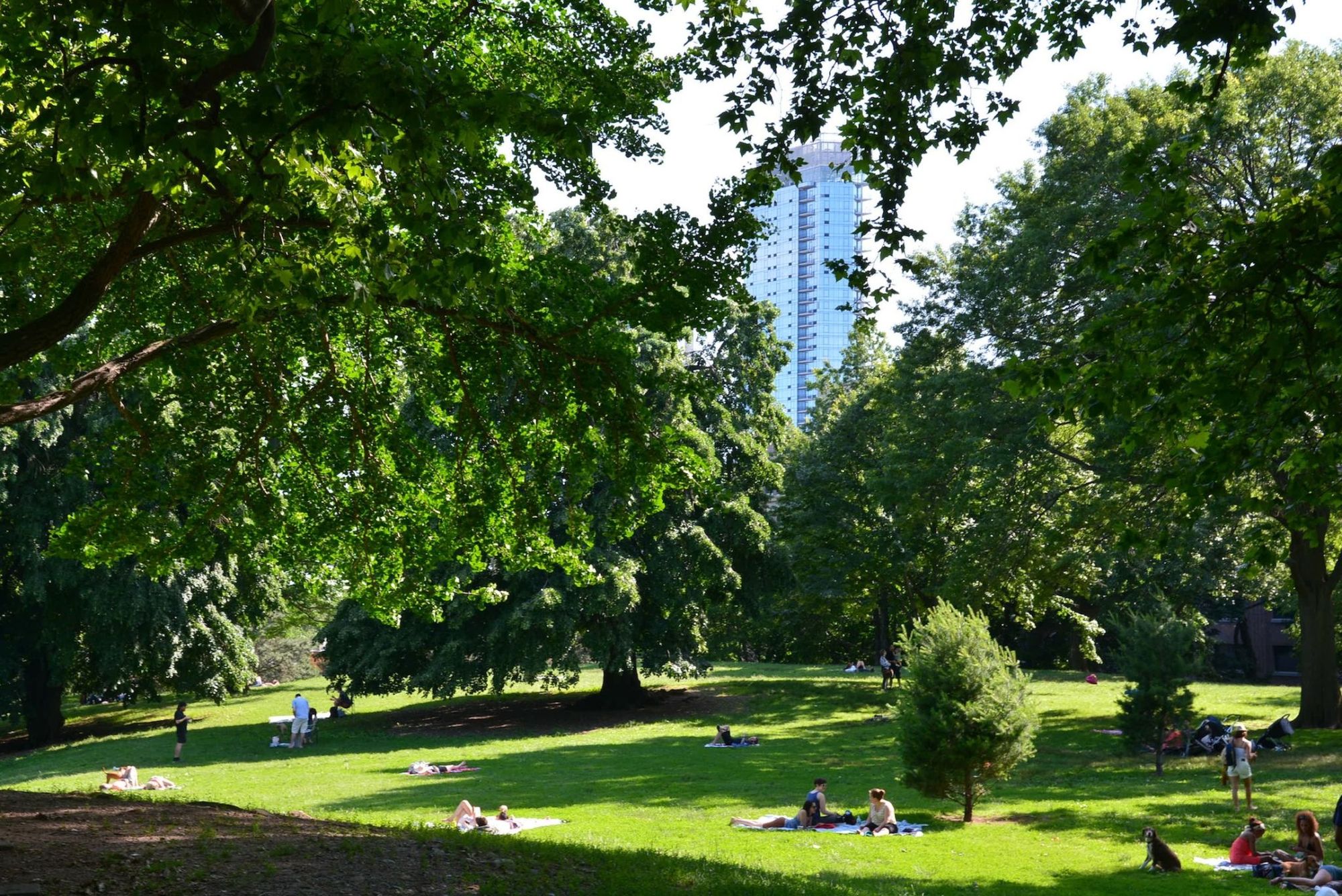 NYC Parks Commissioner Mitchell Silver’s 5 Favorite Things to Do in Fort Greene Park