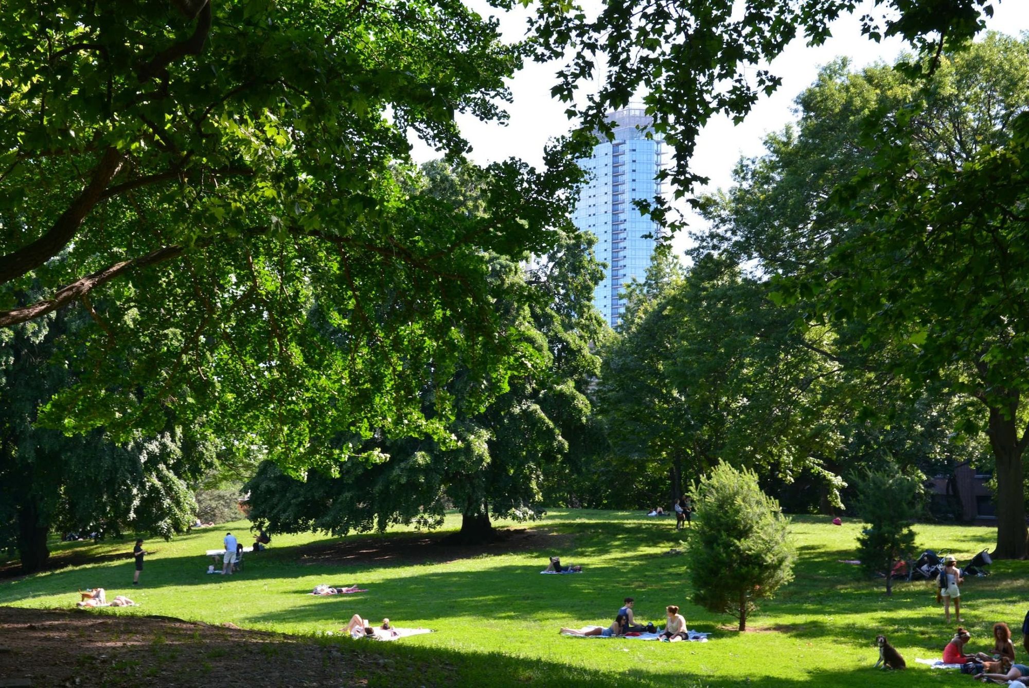 Fort Greene Park, Photo by Mitchell J. Silver.