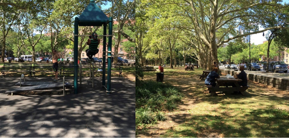 Fort Greene Park warns tiny containers littered on ground may