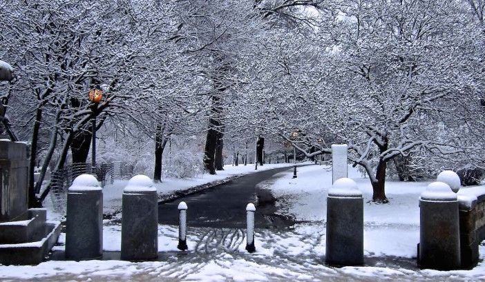 Snow at Prospect Park