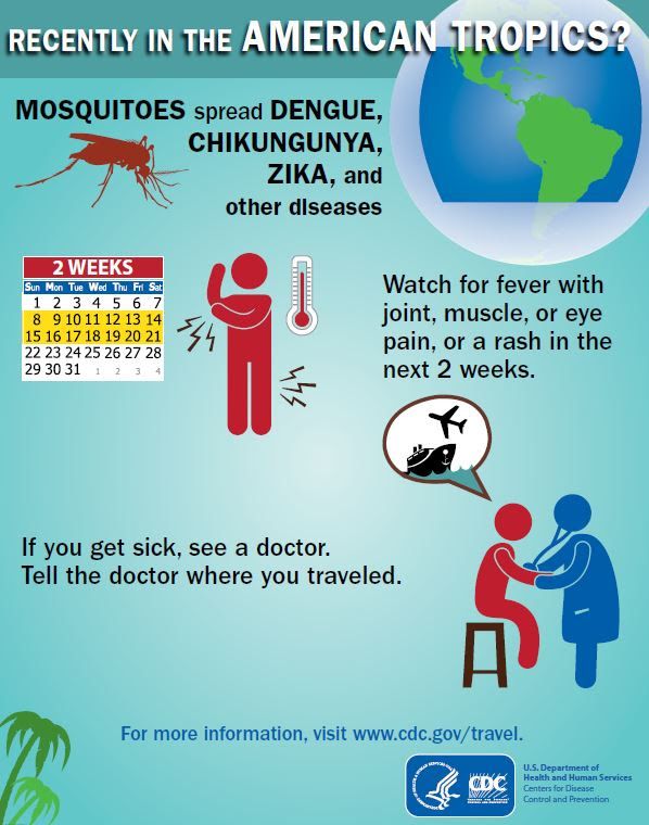 zika virus flyer 1