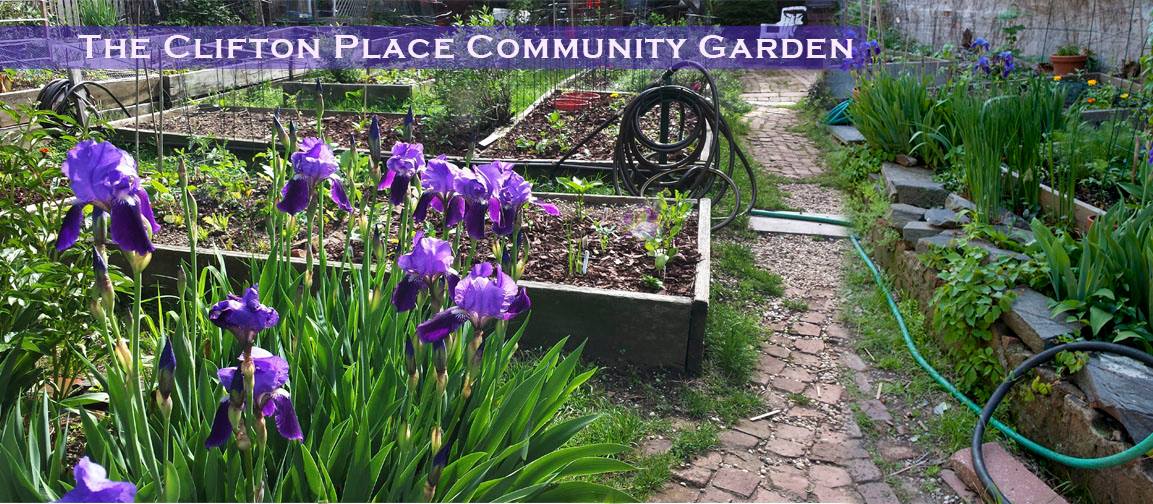 Clifton Place Community Garden via FaceBook.