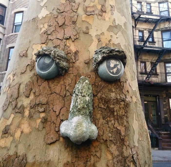 Face on tree