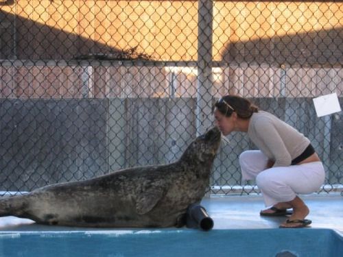 Doctor-Yomtovian-California-Training-Marine-Animals