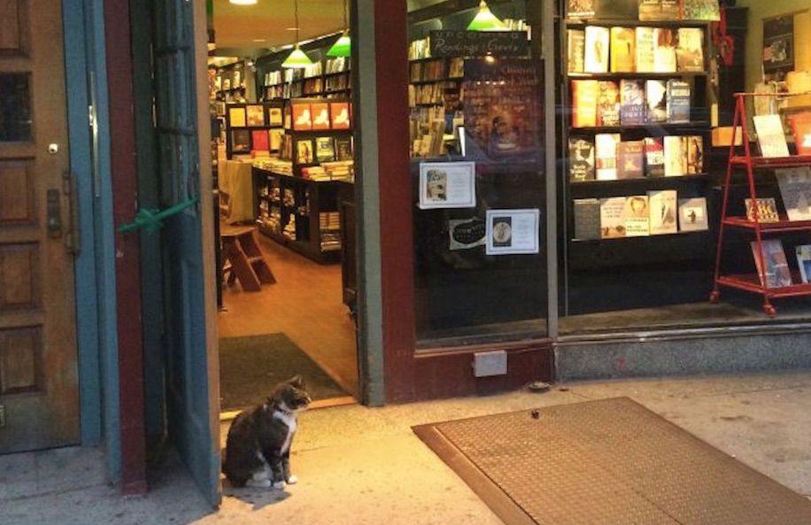 Celebrate Independent Bookstore Day This Saturday With 1st Brooklyn Bookstore Crawl
