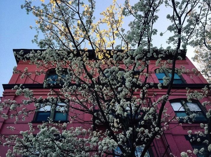 spring in park slope