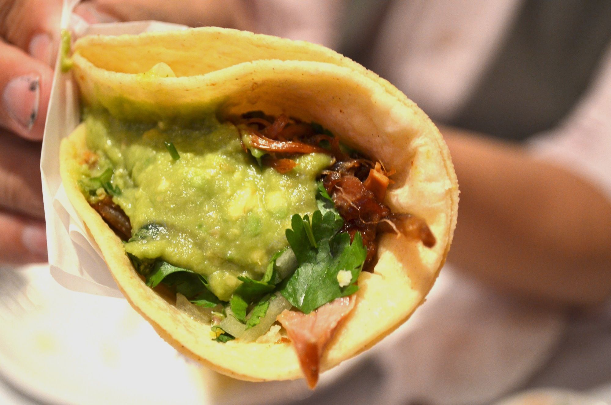 The carnitas tacos. (Photo: Alex Ellefson / Sheepshead Bites)