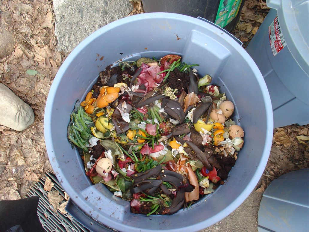 Where To Drop Off Compost In Ditmas Park