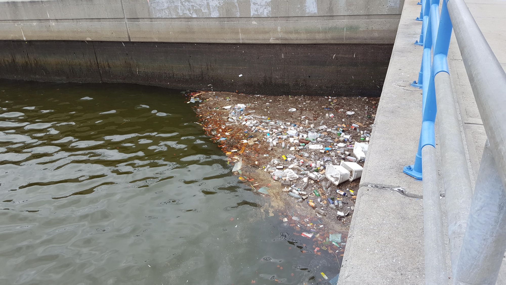 Littered corner of Sheepshead Bay Pier near the Holocaust Memorial Park. Photo courtesy of Elizabeth Mokrousova.