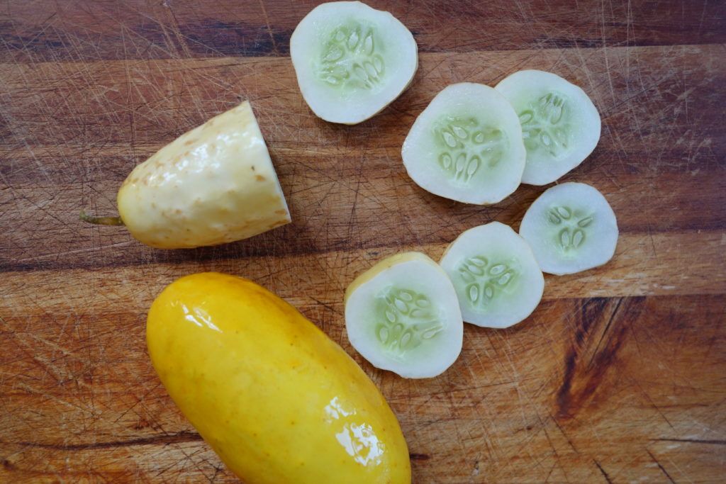 local-roots-nyc-salt-pepper-cucumbers-1