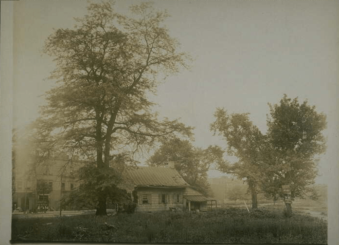 Cortelyou road circa 1916, still two full centuries after Ditmarsen's day. (Photo courtesy Brooklyn Historical Society)