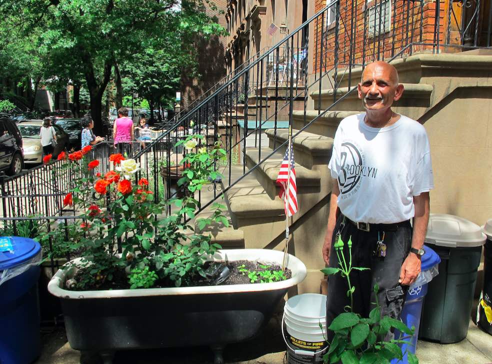 Jerry and his bathtub roses of Carroll Street.
