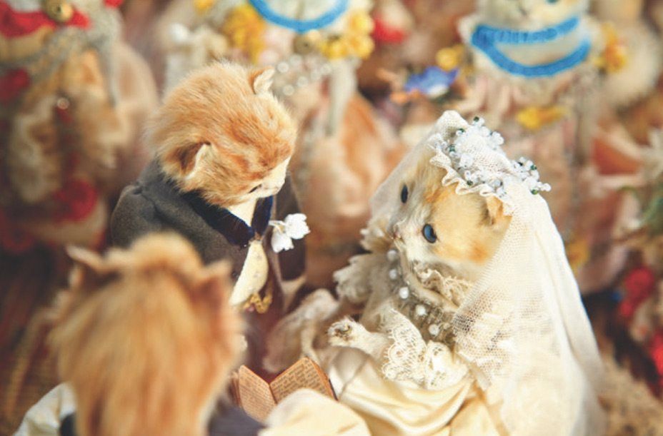 Walter Potters' Kitten Wedding