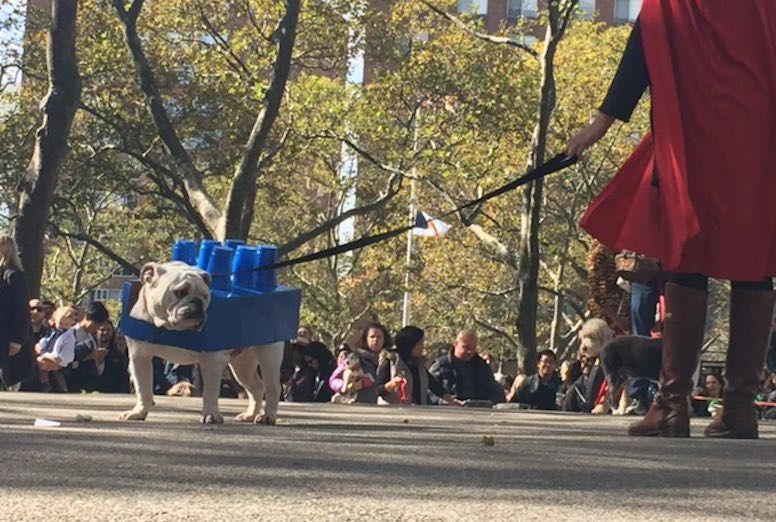 18th Annual Great PUPkin Dog Costume Contest