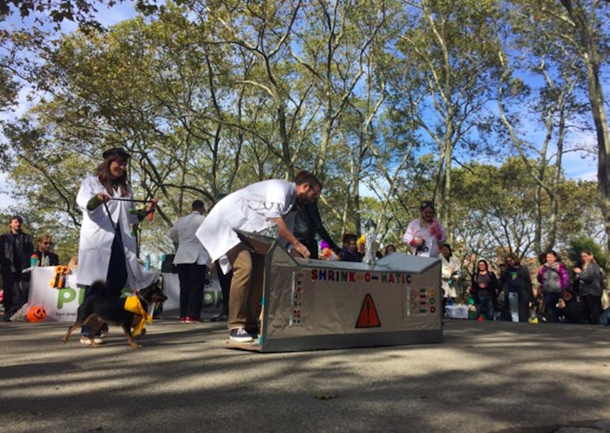 18th Annual Great PUPkin Dog Costume Contest