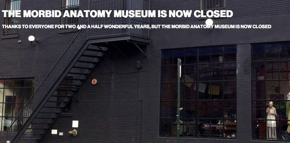 Morbid Anatomy Museum In Gowanus Has Closed; ‘Rebirth’ Promised