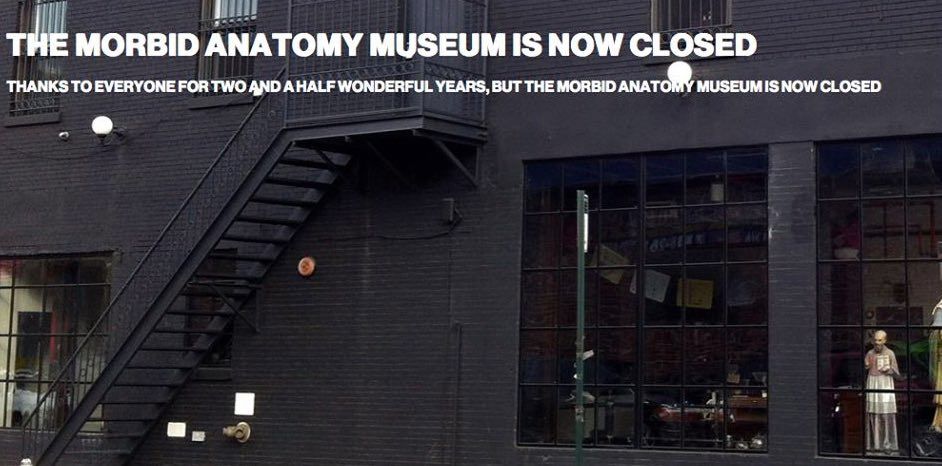 morbid anatomy museum