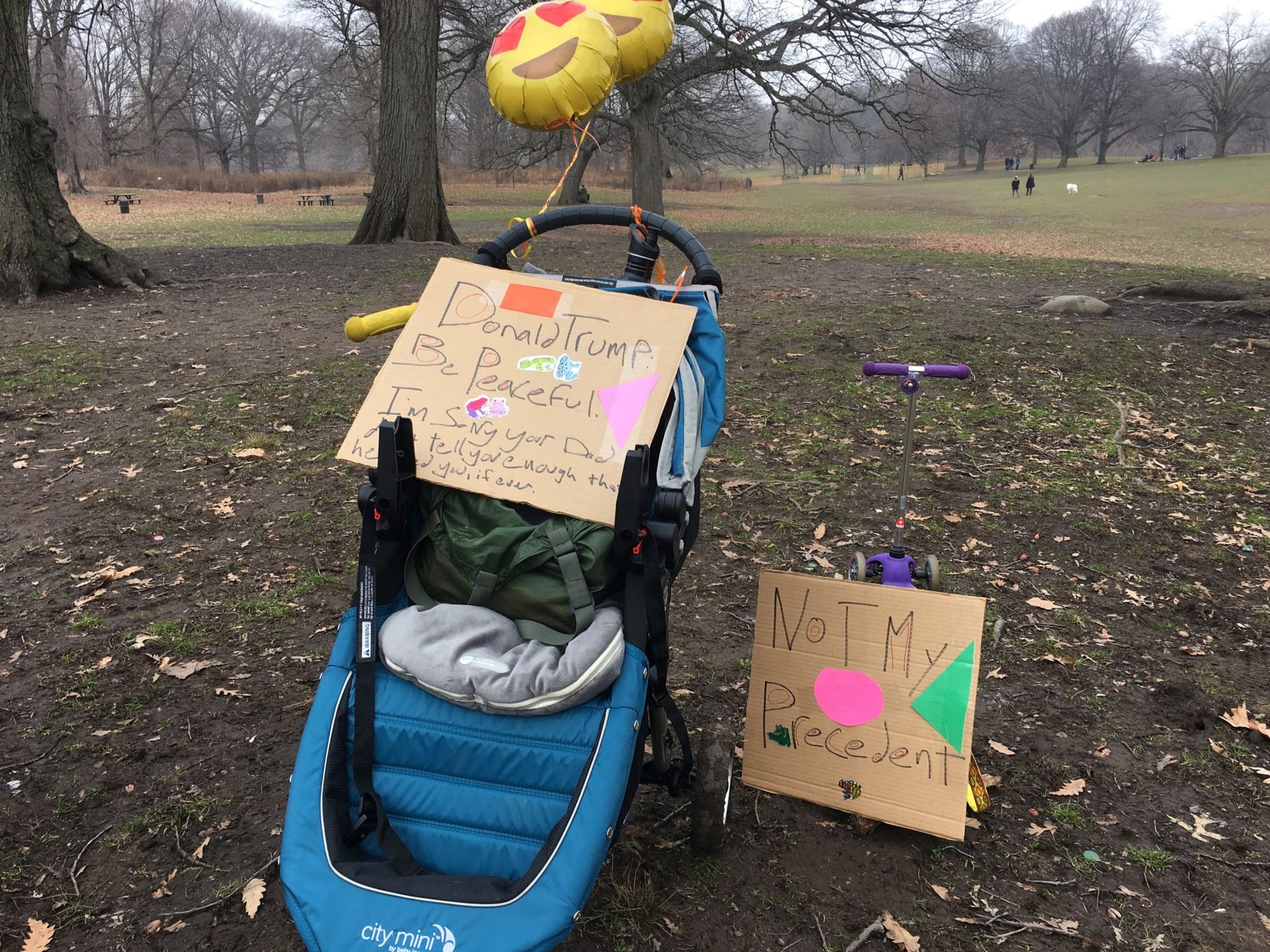 Neighbors March On Prospect Park & Other Northern Brooklyn Inauguration Happenings