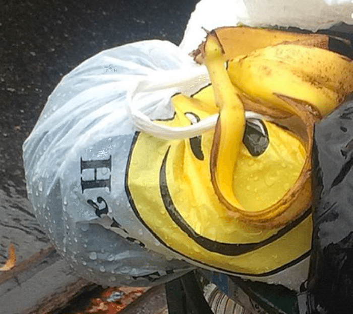 Gov. Cuomo Buries Plastic Bag Fee, Calling It ‘Deeply Flawed’