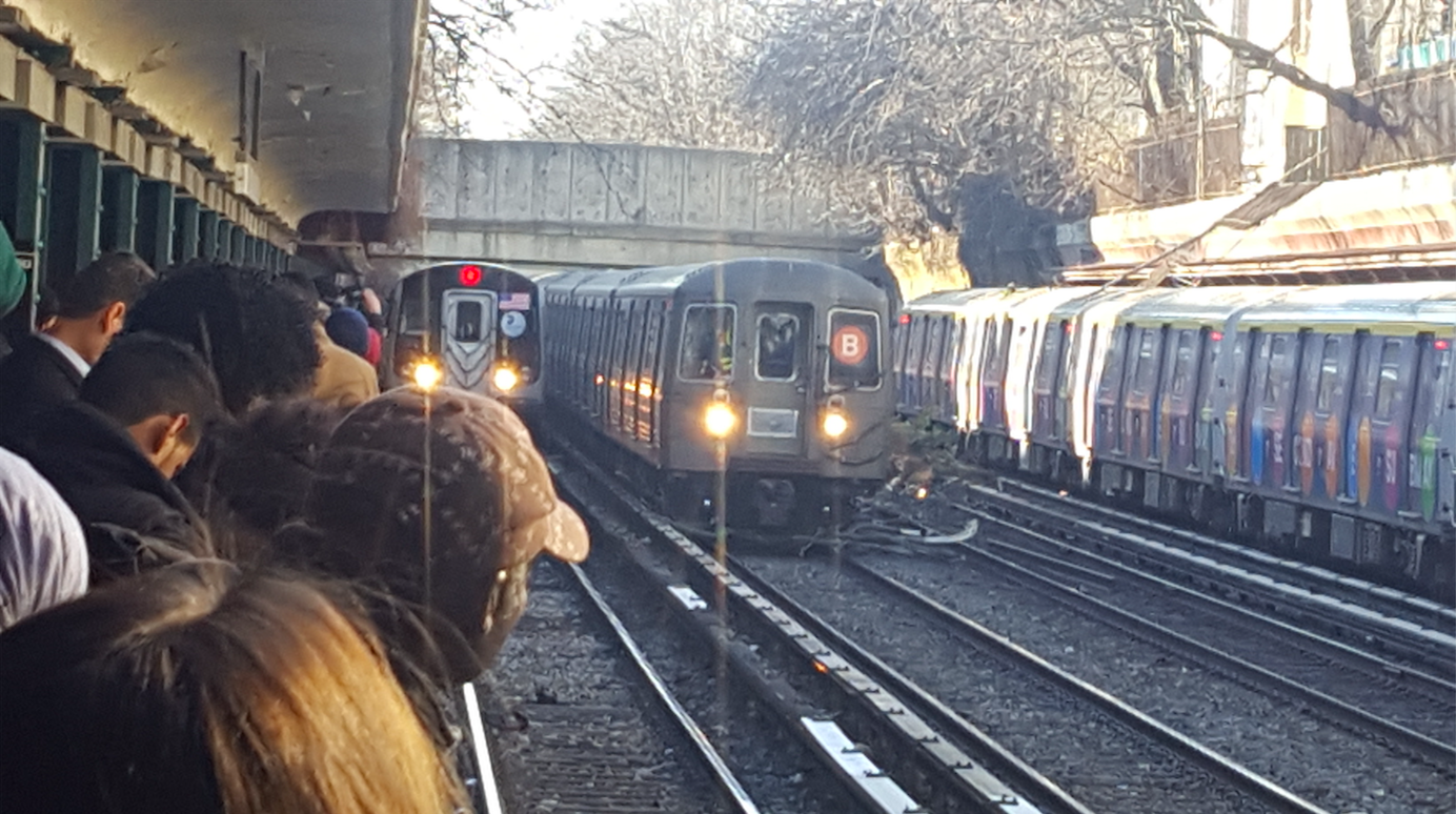 Downed Tree Ensnares B Train Causing Massive Delays At Cortelyou Road