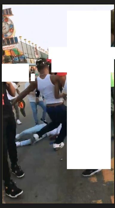 Four Suspects In Assault by Luna Park Still Need Identifying