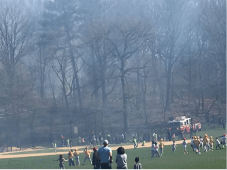 FDNY Extinguish Brush Fire At Prospect Park Sunday