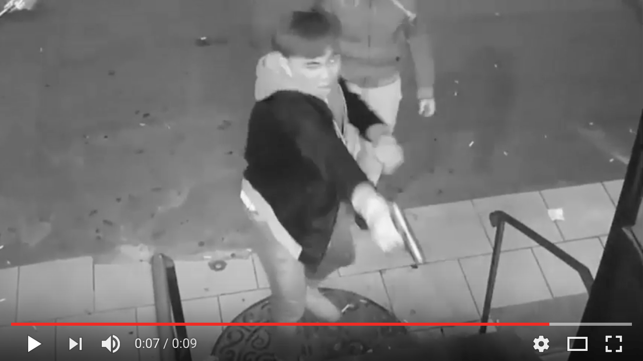 Help Identify Two Individuals In A Sunset Park Brawl