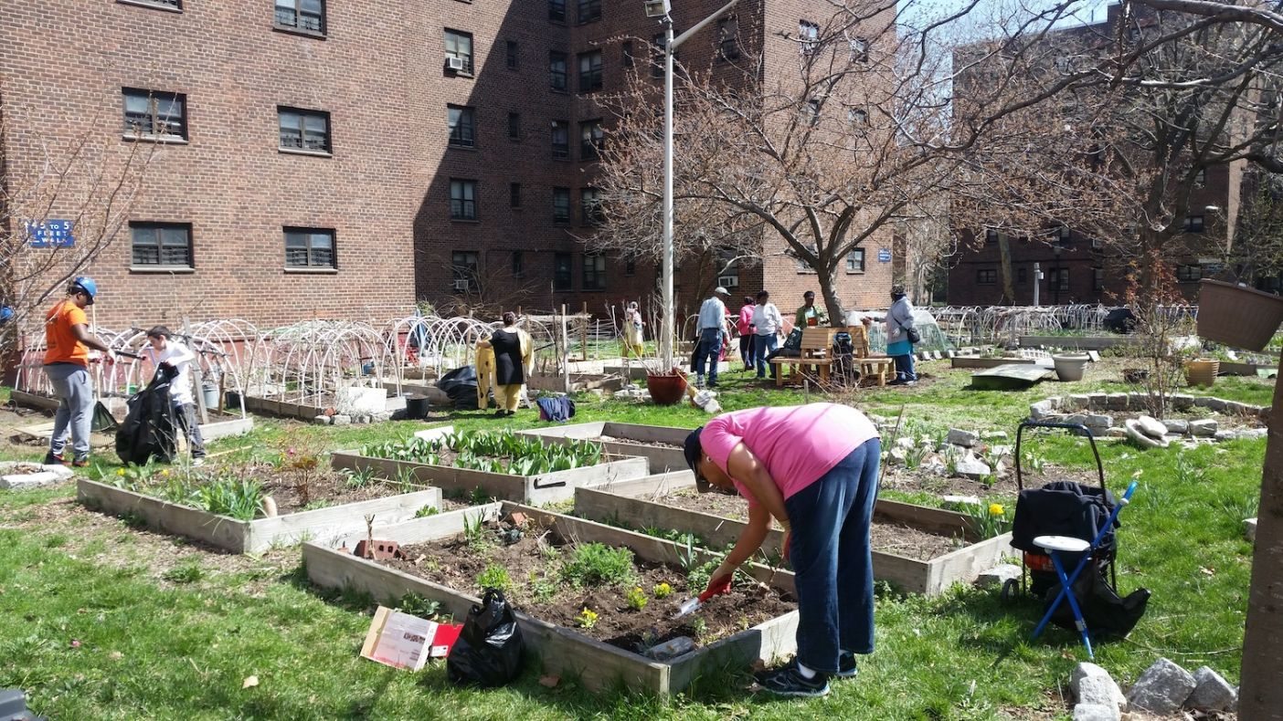 Fort Greene and Clinton Hill Community Gardens