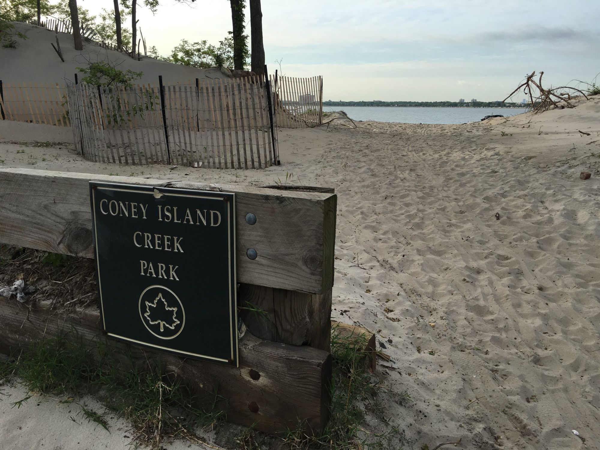 Coney Island Creek – Good Enough to Dump Untreated Sewage in, Not Good Enough to Have Oysters to Clean It Up.
