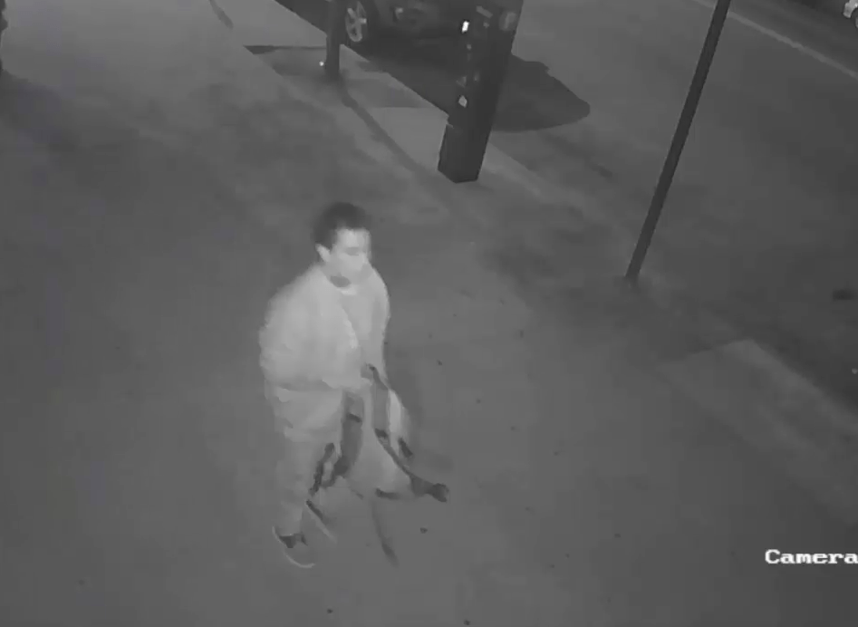 Bensonhurst: Police Release Video Of Suspect In Attempted Rape [Updated]