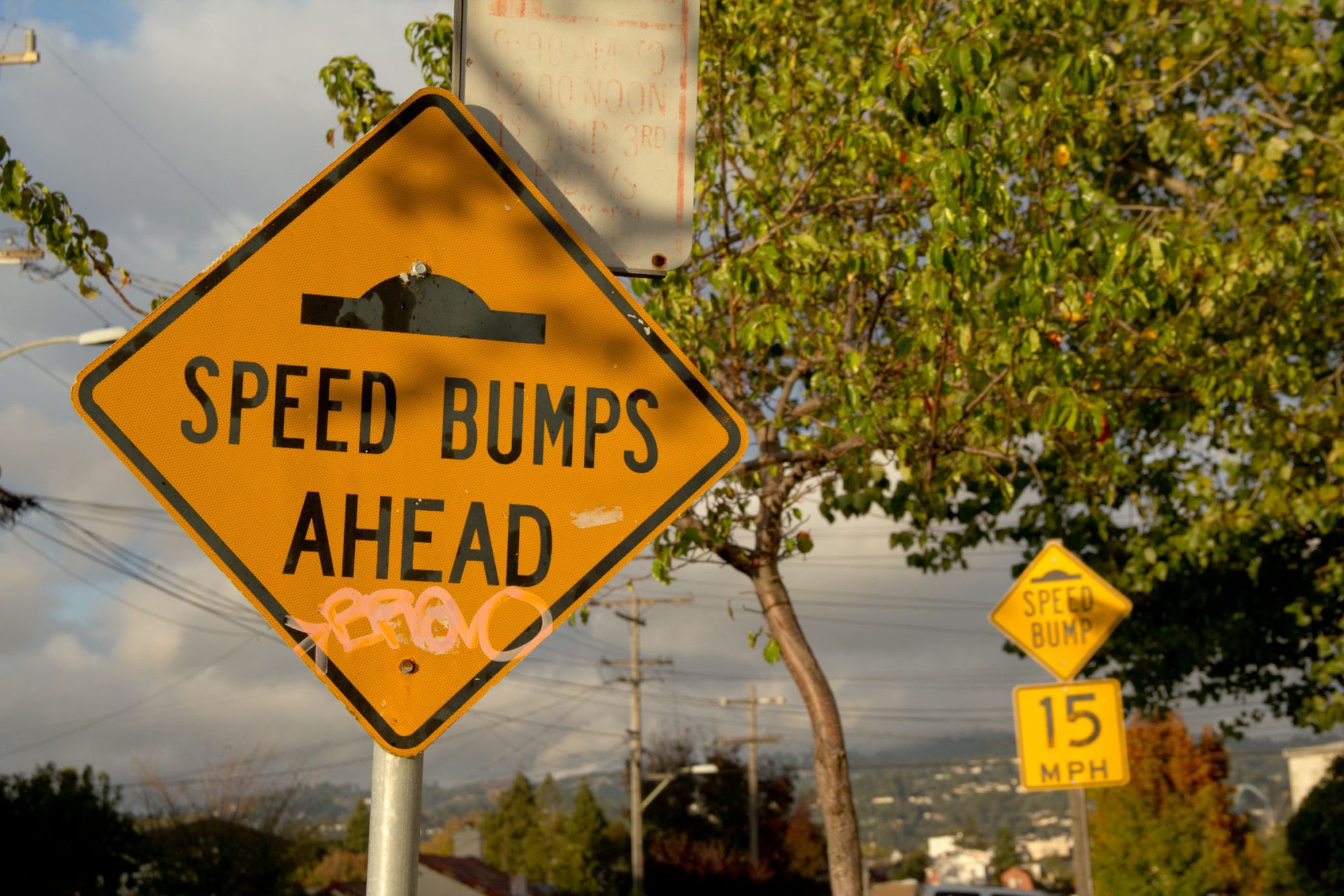 Additional Speed Bumps Slated For 21st Ave, Says Greenfield
