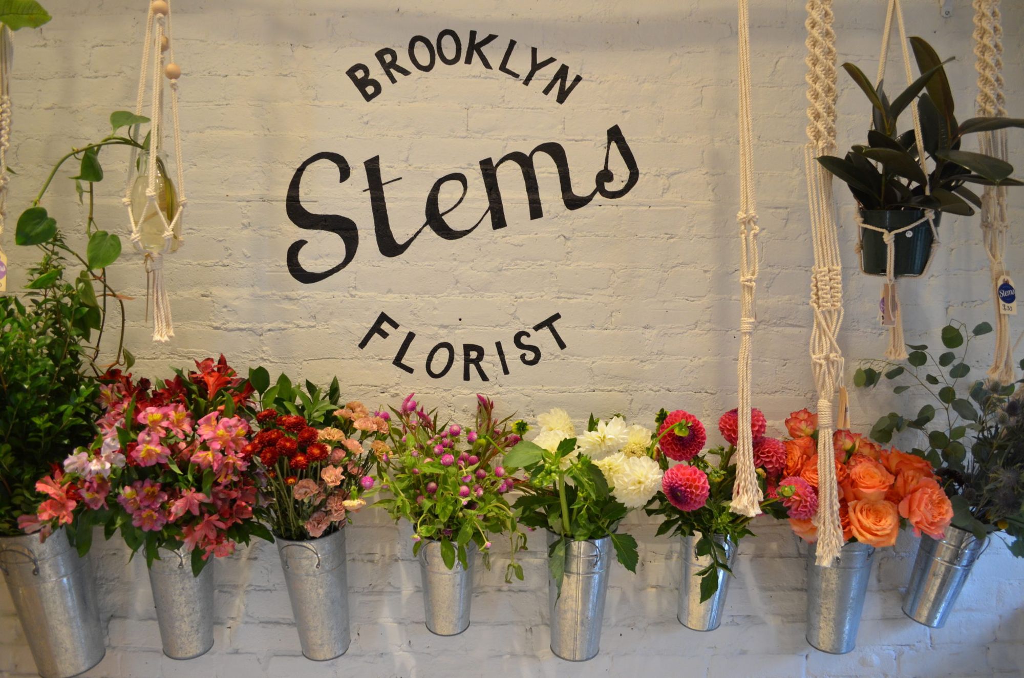 Stems Relocates From Ditmas Park Bar To Prospect Heights Yoga Studio