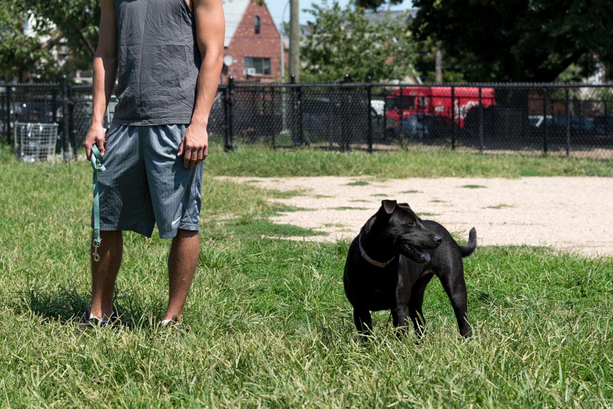 Which Neighborhood Has The Most Barking Dog Complaints?