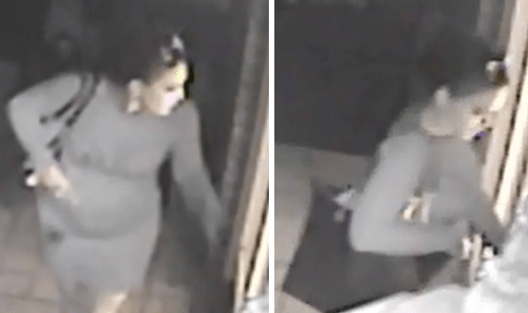 Woman Sneaks Into Elderly Man’s Home, Steals Credit Card