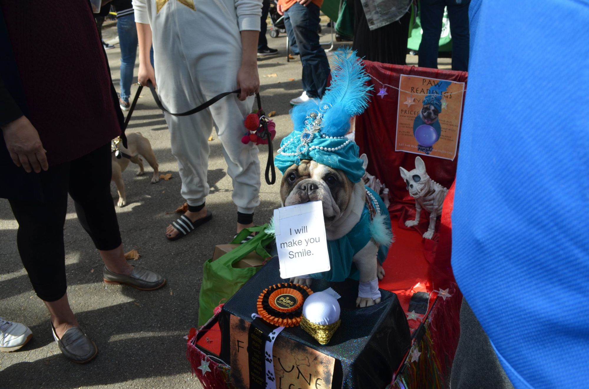 It’s The Great PUPkin Dog Costume Contest [Photos]