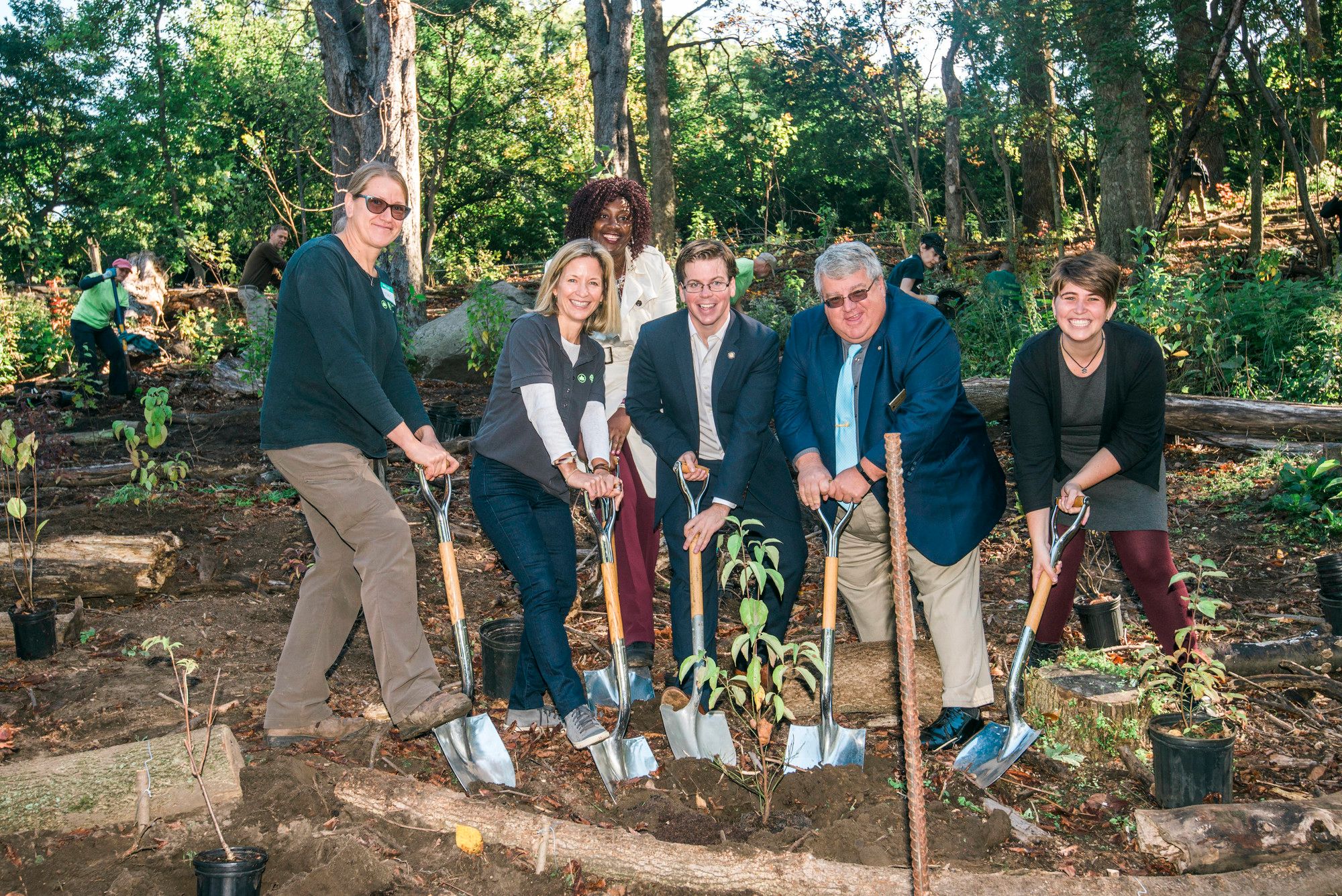Prospect Park Celebrates 150th Anniversary With Tree Planting And ESB Lighting
