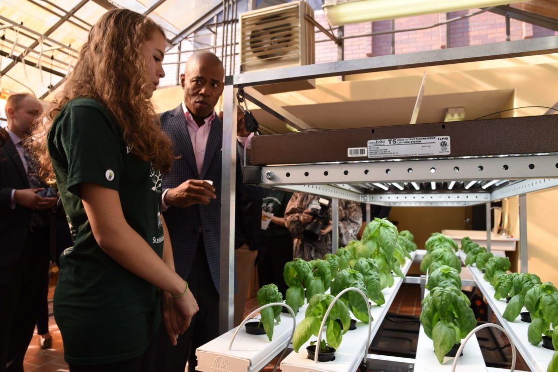 Rooftop Greenhouse Brings Lettuce and Learning to Edward R. Murrow High